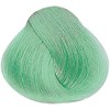 rEvolution Pastels Shades