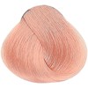 rEvolution Pastels Shades