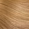 Aloxxi INSTABOOST Color Conditioning Masques