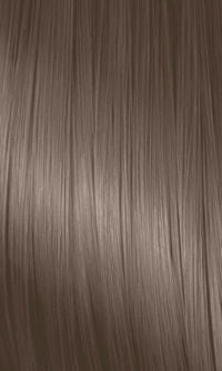 NaturColor Ash Series 6C Dark Caraway Blonde